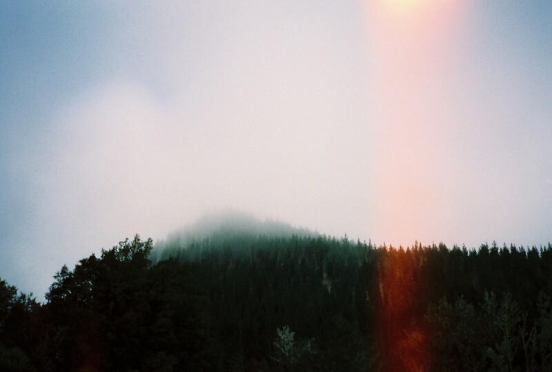 Maruia Mist