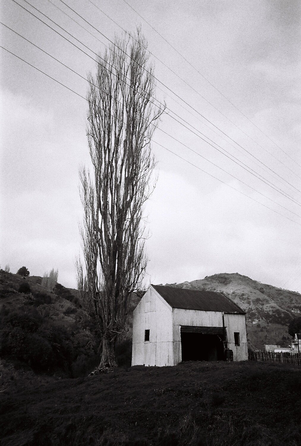 Whangamomona