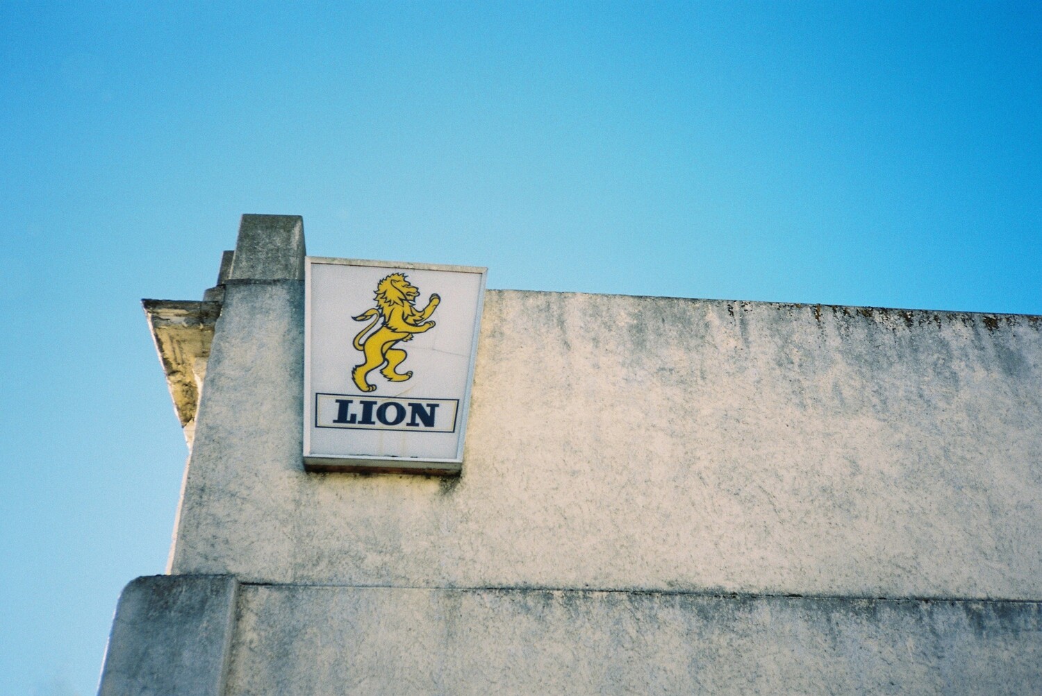 Lion Red