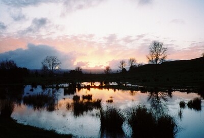 Sunset Ponds