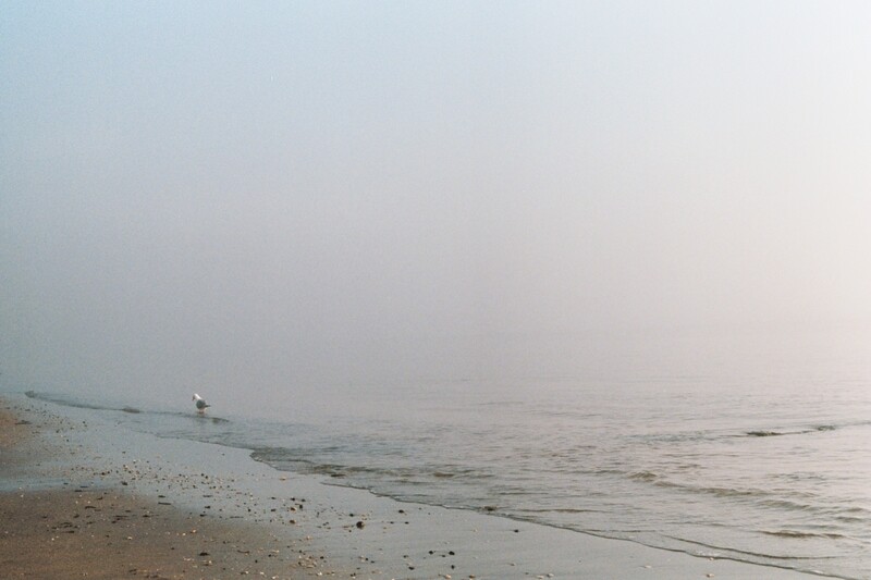 Lone Soldier