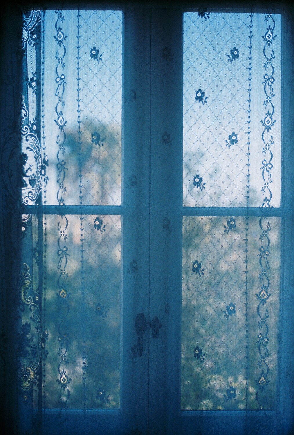 Blue Lace