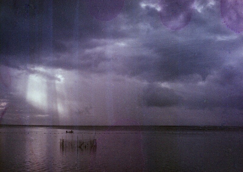 Purple Rain