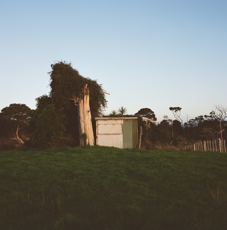 Green Shed