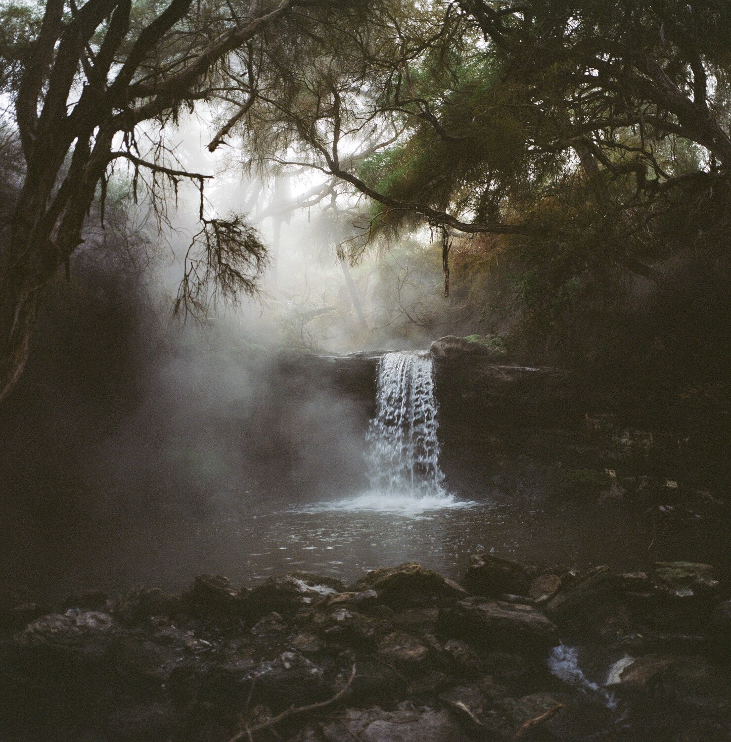 Nature Bath