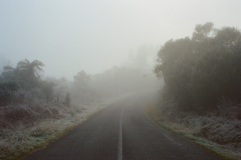 Rotorua Mist