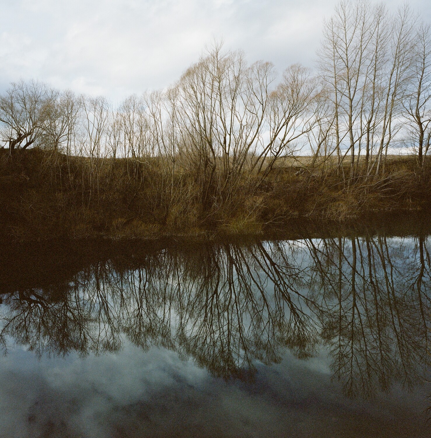 Southland Reflections