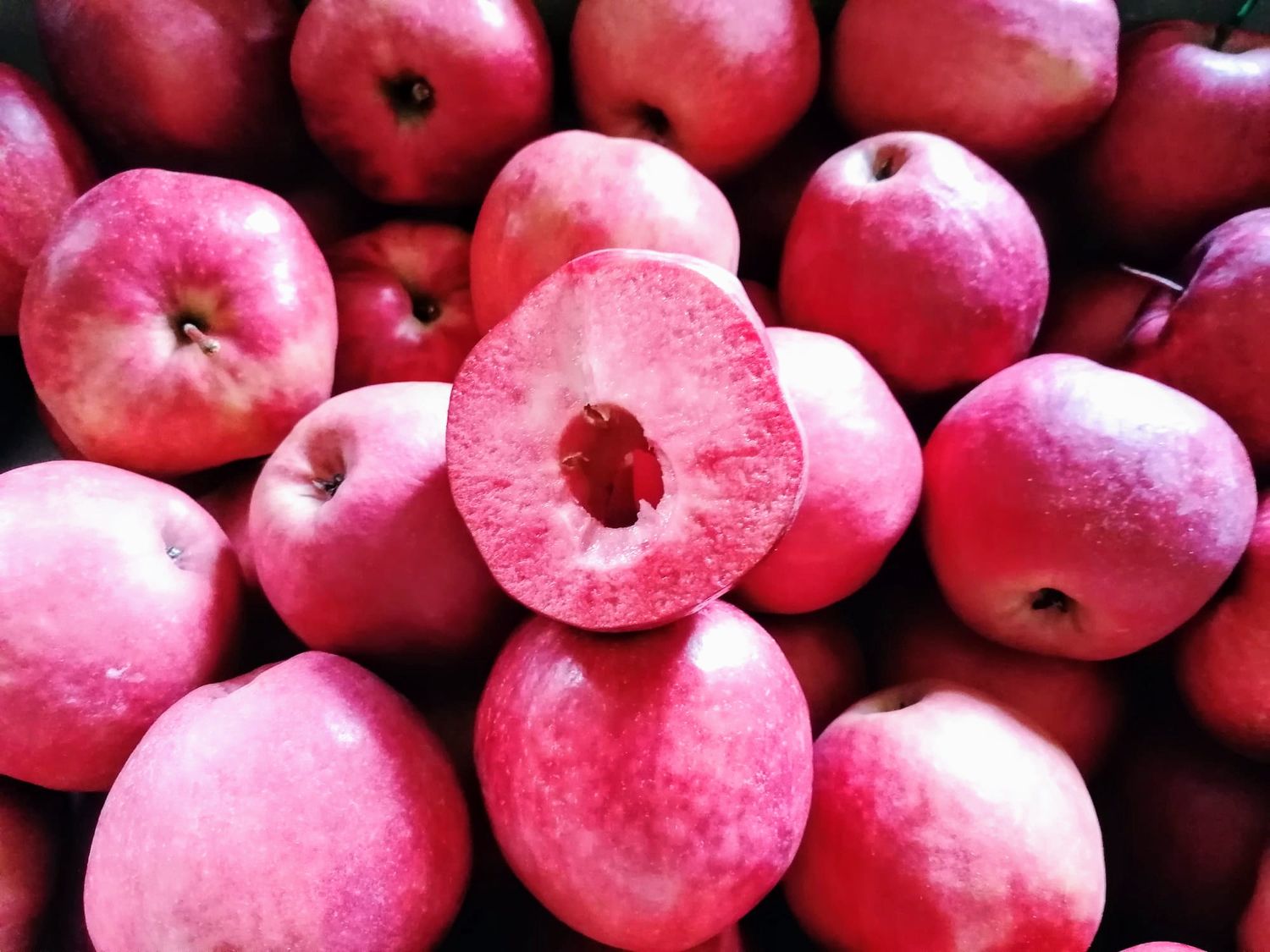 Apfel &quot;Red Love&quot;, 100g