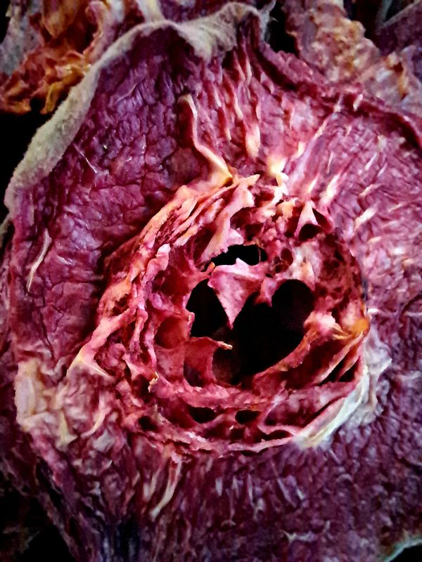 Weinbergpfirsich, 100g