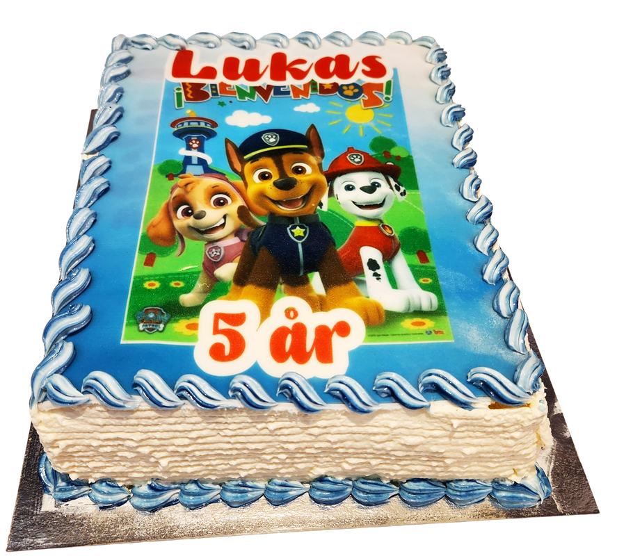 Paw Patrol fyrkantig