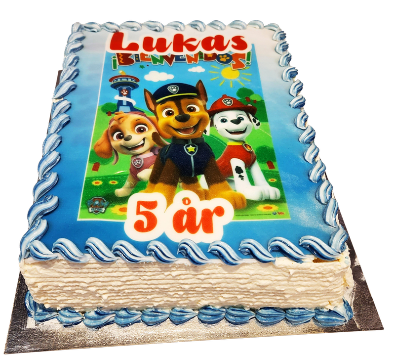 Paw Patrol fyrkantig