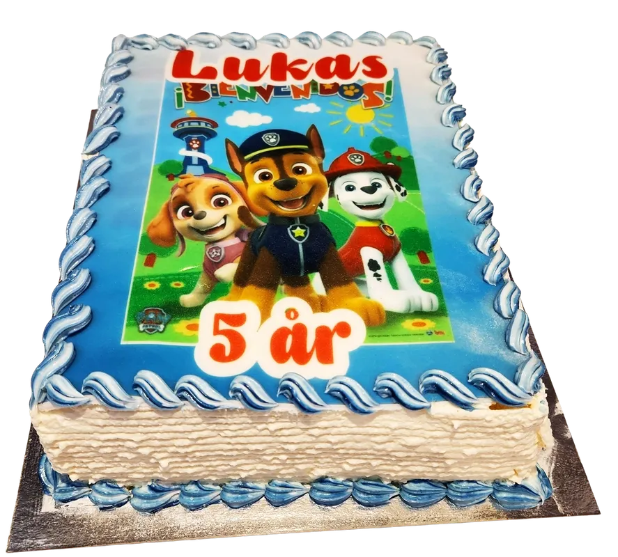 Paw Patrol fyrkantig