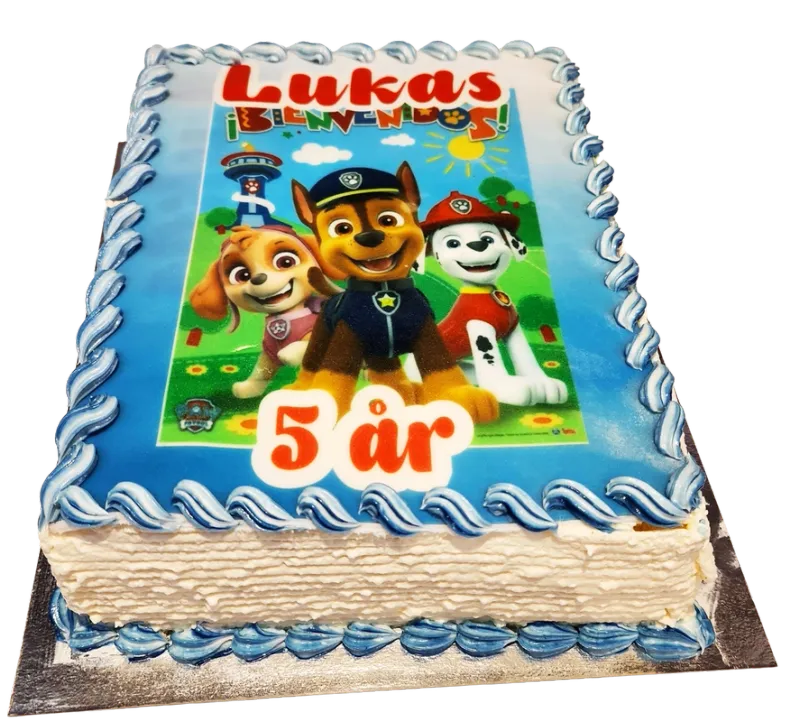 Paw Patrol fyrkantig