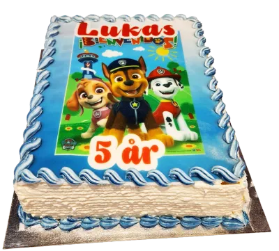 Paw Patrol fyrkantig