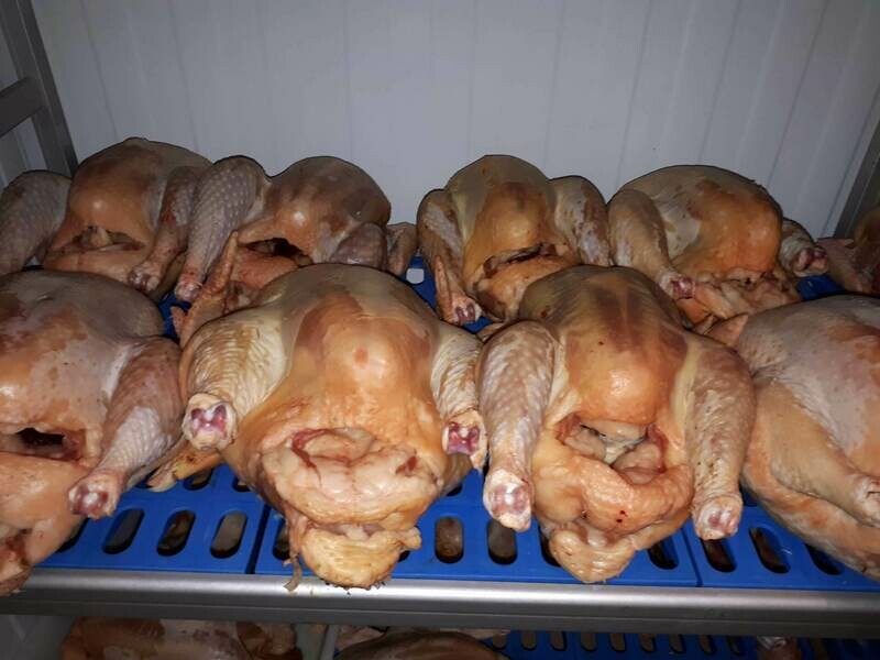 Acompte sur la réservation d'un Chapon au prix de 14.50 €/kg