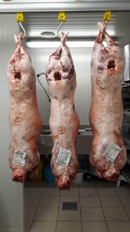 Acompte sur la réservation d'un agneau
AVEC DECOUPE  
au prix de 16.40 €/kg