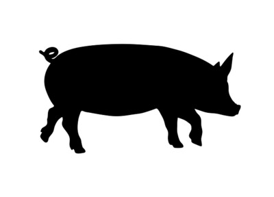 colis barbecue porc