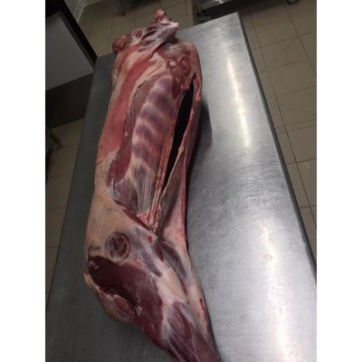 Vente de carcasse d'agneau