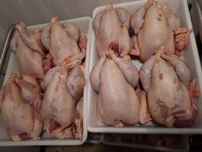 Réservations de volailles ordinaires et découpe