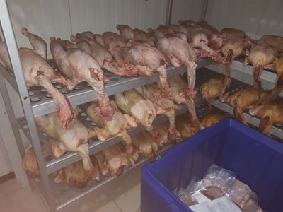 Volailles prêtes à cuire