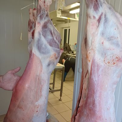 Vente de carcasse de porc