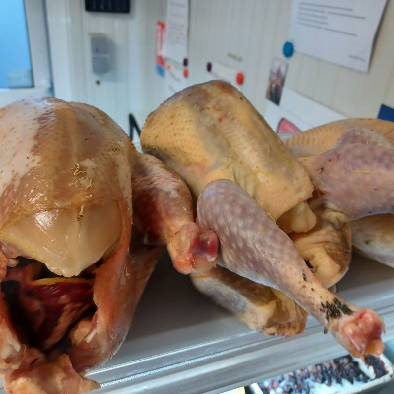 Acompte de 10€ sur la réservation d'un Poulet de 2 kg environ voire plus prêt à cuire à 9.24 €/kg carcasse