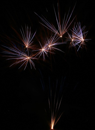 Multicolor Coconut, 49 Schuss