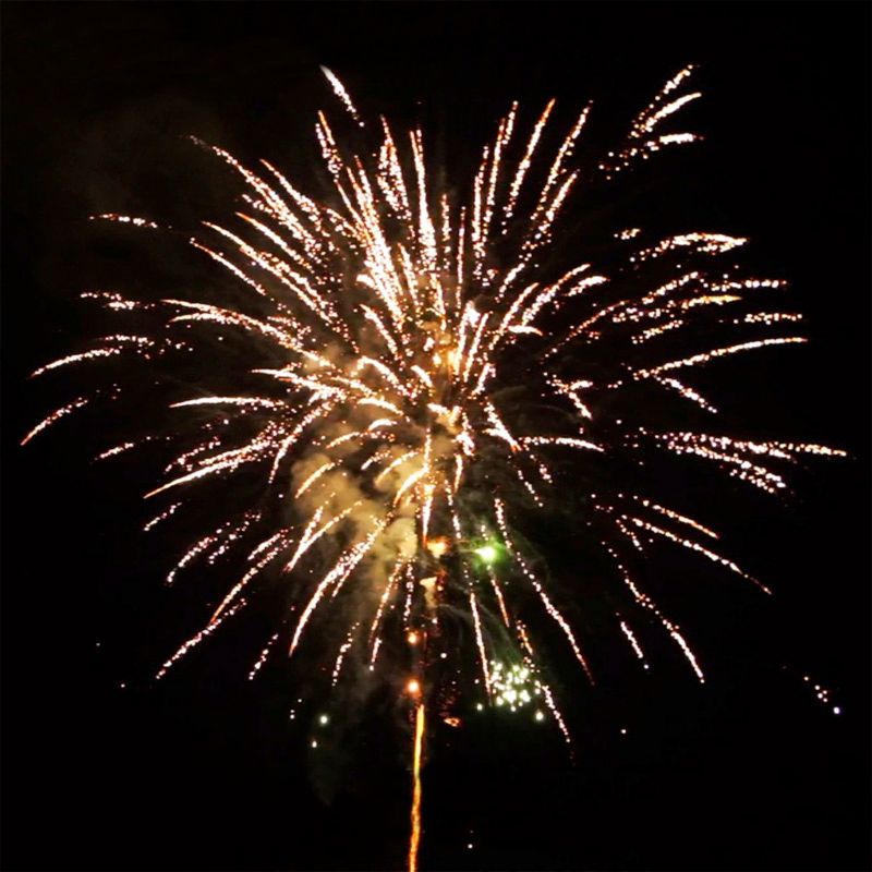 Golden Rose F3-Feuerwerksbatterie, 25mm, 49 Schuss