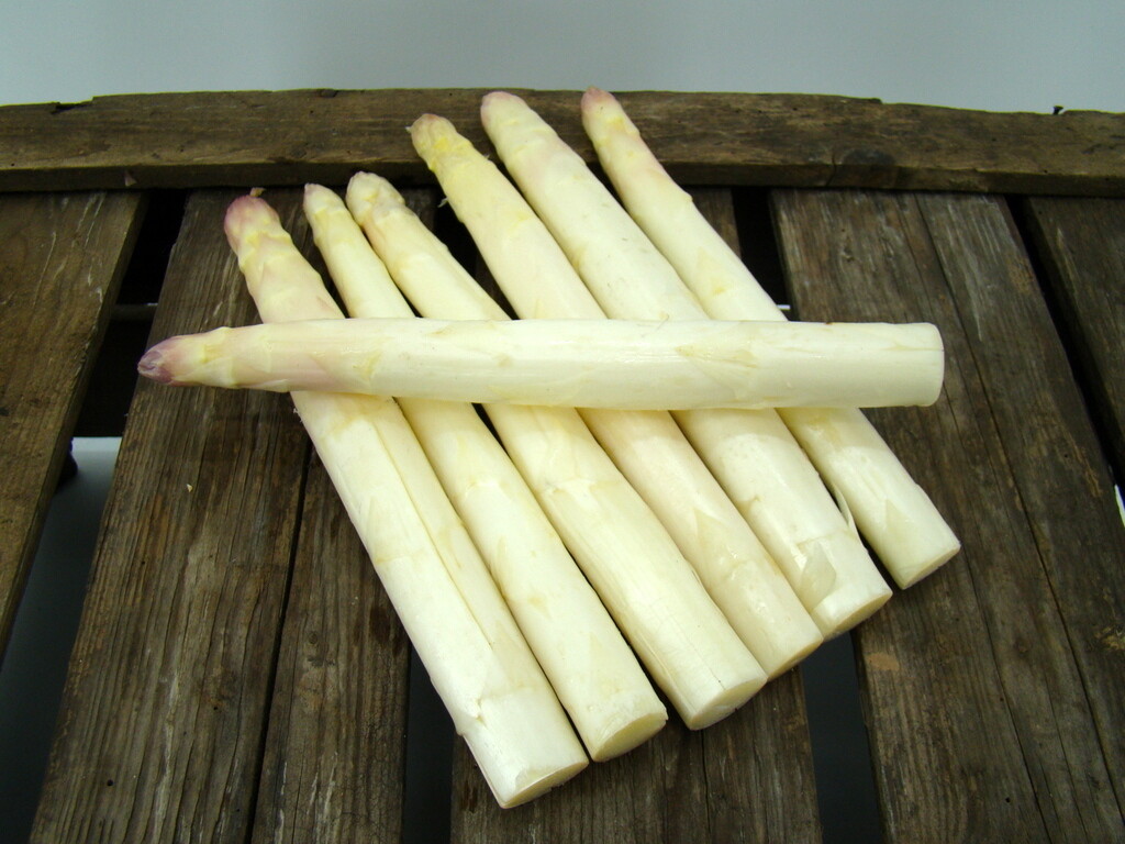 AA violet 'dik' AA violet 'dik'