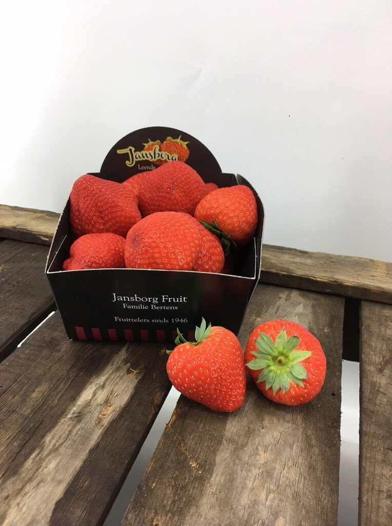 aardbeien 'Sonsation' 400gr