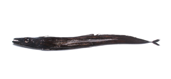 Peixe Espada Preto - À Posta (Fritar/Assar)