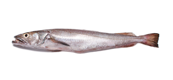 Pescada Branca - 1Kg a 2Kg