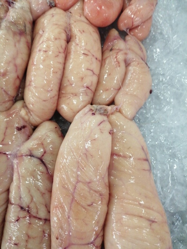 Ovas de Pescada Pequenas- Frescas