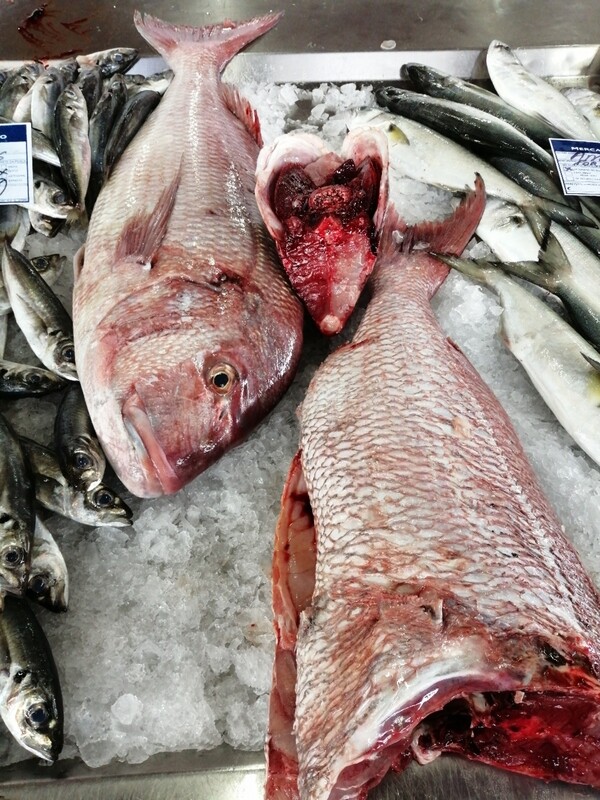 Pargo