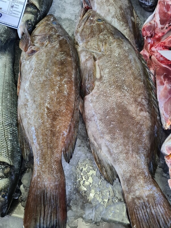 Garoupa Fresca (inteira entre 1 a 2 kg)