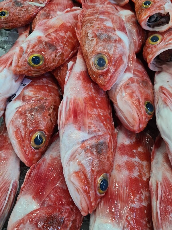 Cantarilho +800 Açores 