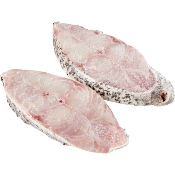Corvina Fresca do Mar