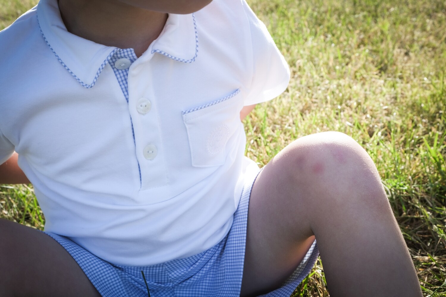 Maxime short lichtblauw ruitje