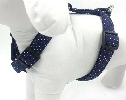 Harnais et laisse à pois bleus Harnais et laisse à pois bleus