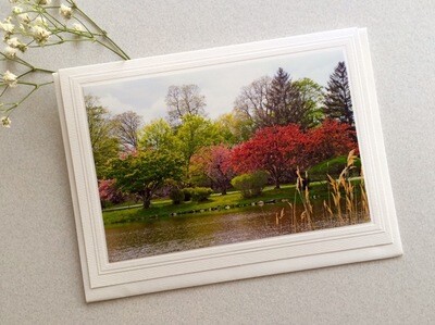 JD Bruce Park in the Spring Note Card