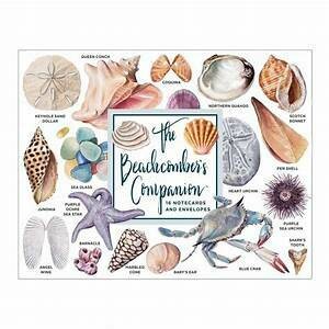 CB Beachcomber Boxed Note Cards