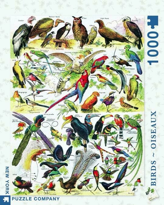 NP Birds - Oiseaux 1,000 PC Puzzle