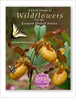 Anthes Wildflowers Of Eastern US