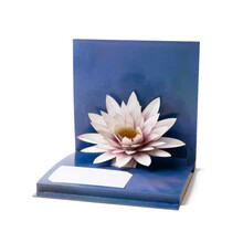 TIA Monet - Water Lily Pop-Up Card