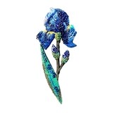 TRO Wild Iris Brooch Pin