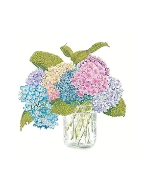 VC Hydrangea Boxed Note Cards