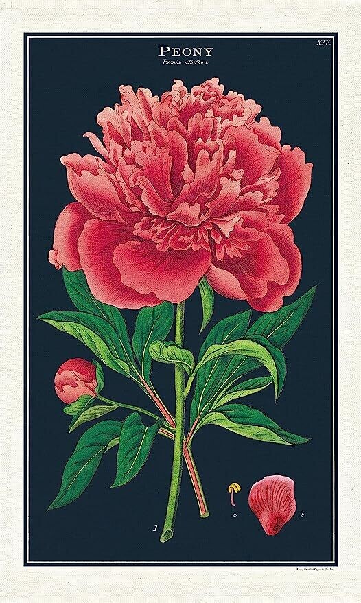 CAV Peony Tea Towel