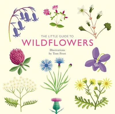 CB Little Guide to Wildflowers