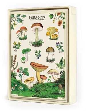 CAV Foraging Boxed Notecards