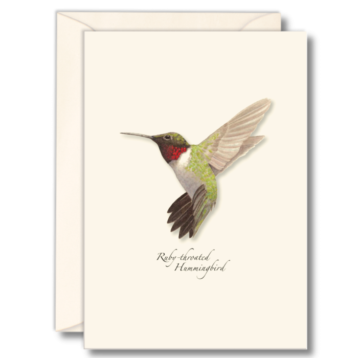 ESW Ruby-throated Hummingbird Boxed Notes